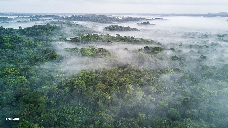 La Guyane Il Faut La Vivre Vatea Tourisme Daffaires Et