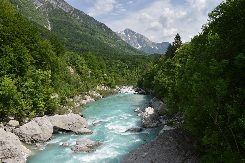 Slovenie 1